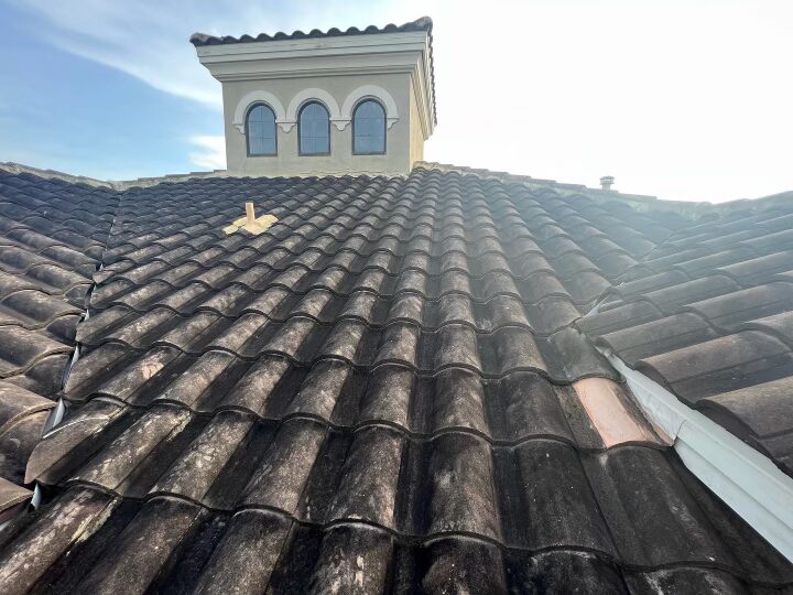 Tile roof before cleaning