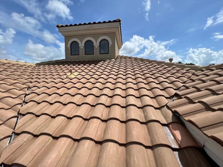 Tile roof after cleaning