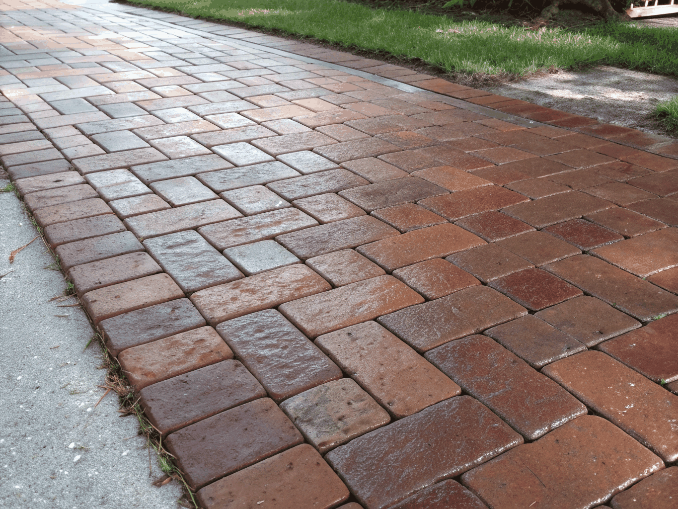 Cleaned and sealed decorative stone patio pavers