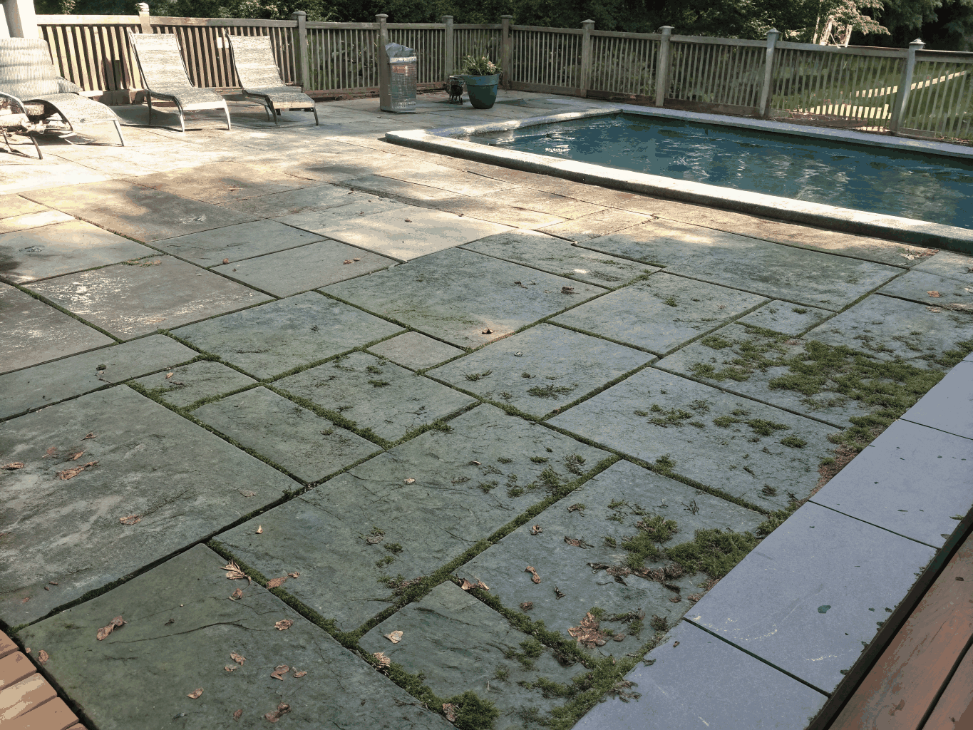Paver Cleaning before cleaning